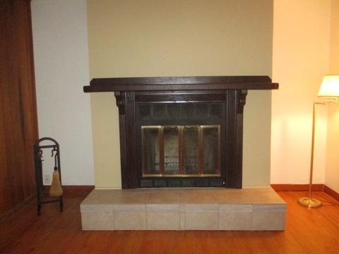 3736 Sangamon St, Steger, IL 60475 photo 4