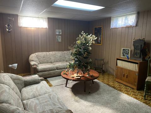 112 2nd St, Mark, IL 61340 photo 11