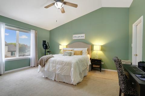 4301 Mallard Ln, Plainfield, IL 60586 photo 20