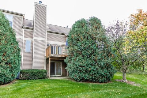 965 Old Oak Cir, Algonquin, IL 60102 photo 41