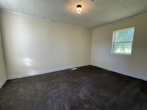 204 S 2nd St, Cornell, IL 61319 photo 12