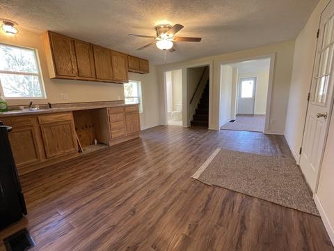 204 S 2nd St, Cornell, IL 61319 photo 4