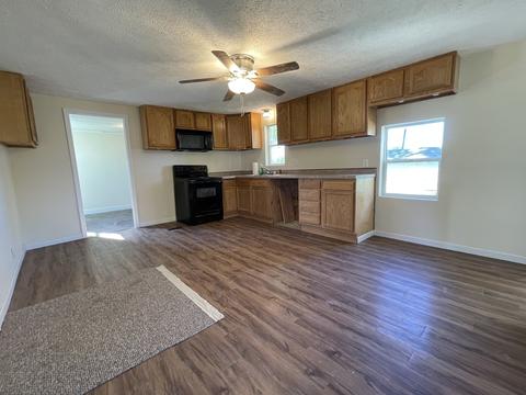 204 S 2nd St, Cornell, IL 61319 photo 3