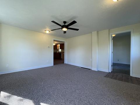 204 S 2nd St, Cornell, IL 61319 photo 5