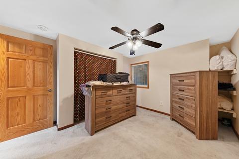 4518 Hedge Row Ct, Plainfield, IL 60586 photo 20