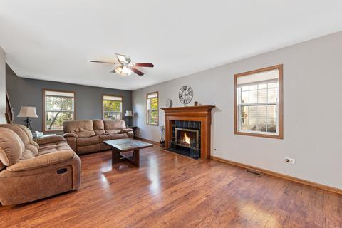 4518 Hedge Row Ct, Plainfield, IL 60586 photo 4