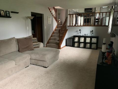 453 Pasadena Ave, Beecher, IL 60401 photo 17
