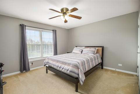 26212 W Milestone Dr, Plainfield, IL 60585 photo 22