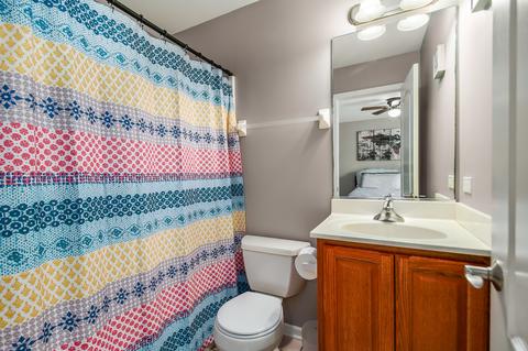 26212 W Milestone Dr, Plainfield, IL 60585 photo 20