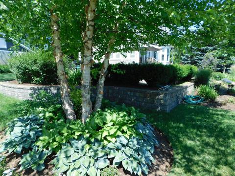 6 S398 Old Eola Rd, Eola, IL 60519 photo 26