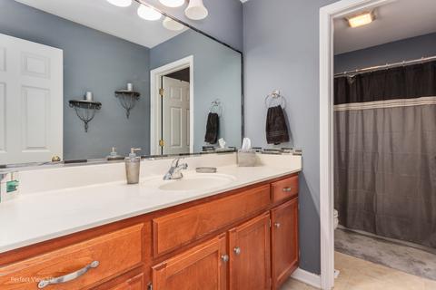 24800 Emerald Ave, Plainfield, IL 60585 photo 21
