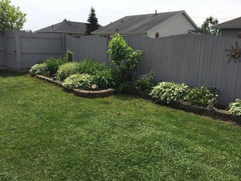 5123 Fairground Ct, Monee, IL 60449 photo 32