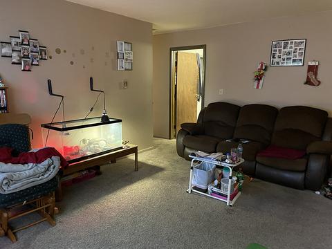 403 Clinton Ct, Morrison, IL 61270 photo 5