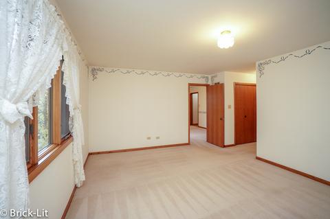 11501 Kluth Dr, Mokena, IL 60448 photo 34