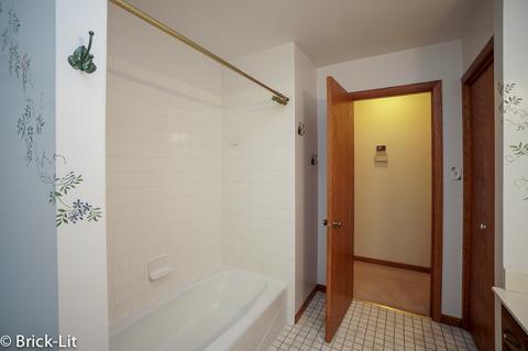 11501 Kluth Dr, Mokena, IL 60448 photo 31