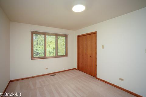 11501 Kluth Dr, Mokena, IL 60448 photo 27