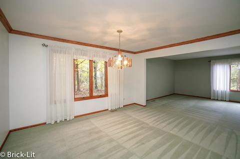11501 Kluth Dr, Mokena, IL 60448 photo 15