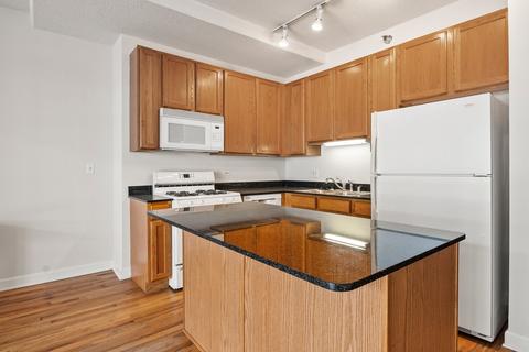 41 E 8th St #4C, Chicago, IL 60605 photo 12