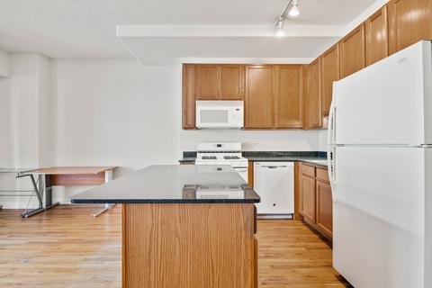 41 E 8th St #4C, Chicago, IL 60605 photo 10