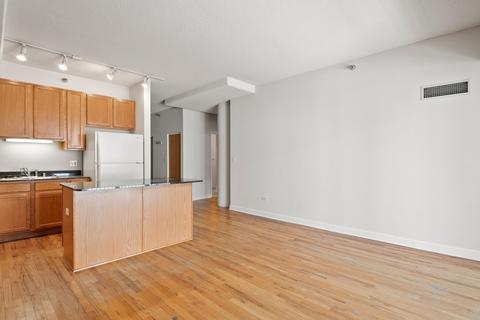 41 E 8th St #4C, Chicago, IL 60605 photo 8