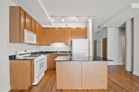 41 E 8th St #4C, Chicago, IL 60605 photo 9