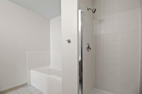 41 E 8th St #4C, Chicago, IL 60605 photo 27