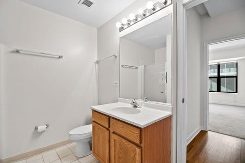 41 E 8th St #4C, Chicago, IL 60605 photo 25