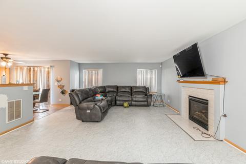 6341 Cornfield Rd, Matteson, IL 60443 photo 7