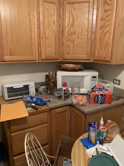9809 S Clyde Ave, Chicago, IL 60617 photo 5