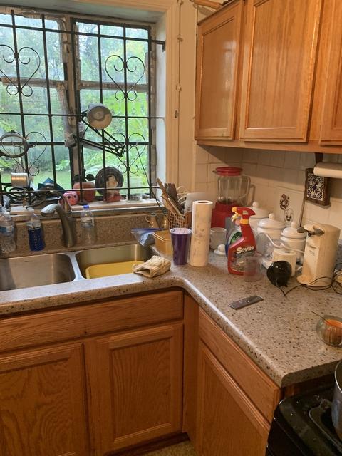 9809 S Clyde Ave, Chicago, IL 60617 photo 4