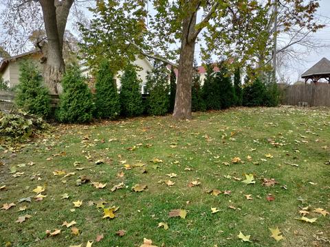 456 Harrison St, Elgin, IL 60120 photo 18