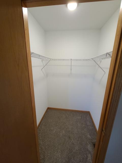 1309 Idabright Dr, Plainfield, IL 60586 photo 19