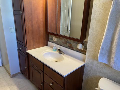 2375 Nan St, Aurora, IL 60502 photo 34
