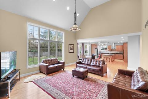 1041 S Chatham Ave, Addison, IL 60101 photo 20