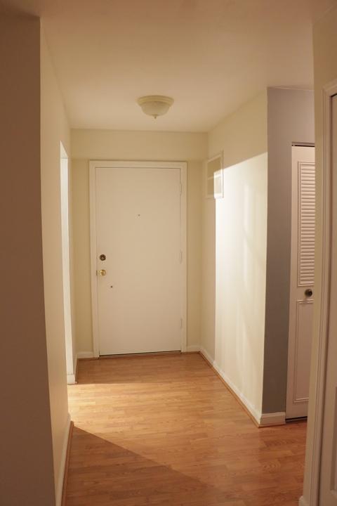 5300 Carriageway Dr #103, Rolling Meadows, IL 60008 photo 2