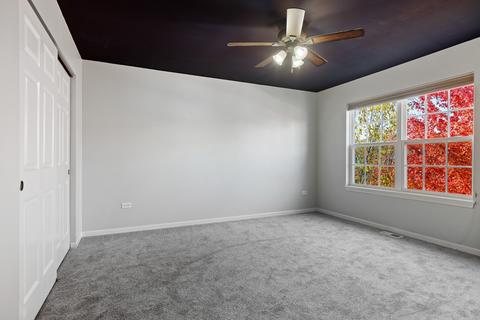 26531 Rustling Birch Way, Plainfield, IL 60585 photo 19