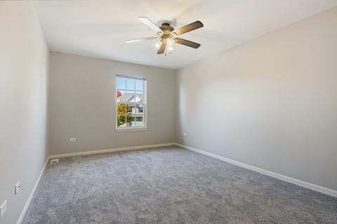 26531 Rustling Birch Way, Plainfield, IL 60585 photo 18