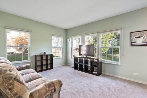 3825 Munson Ct, Plano, IL 60545 photo 7