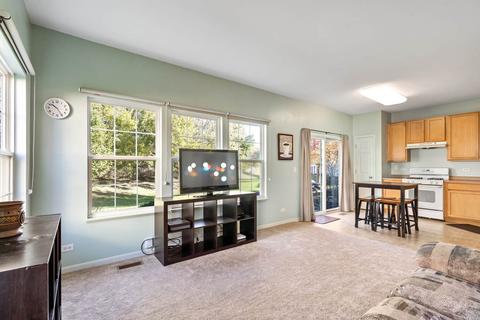 3825 Munson Ct, Plano, IL 60545 photo 9