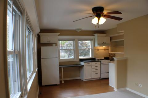 47 Julian Ave, Elgin, IL 60120 photo 51