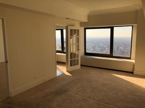 175 E Delaware Pl #5401, Chicago, IL 60611 photo 16