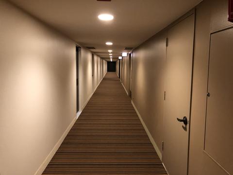 175 E Delaware Pl #5401, Chicago, IL 60611 photo 19