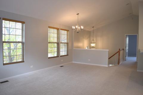 1001 Reserve Dr, Elgin, IL 60124 photo 4