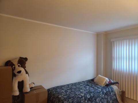 1458 Willow Ave, Des Plaines, IL 60016 photo 22