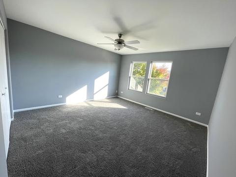 14602 Independence Dr, Plainfield, IL 60544 photo 11