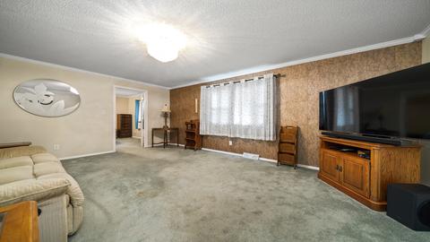 207 W 4th St, Leaf River, IL 61047 photo 19