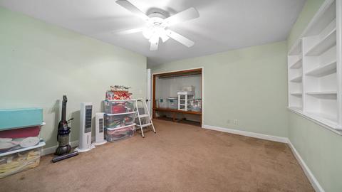 207 W 4th St, Leaf River, IL 61047 photo 17