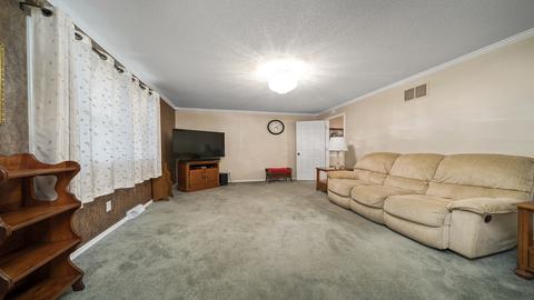 207 W 4th St, Leaf River, IL 61047 photo 18