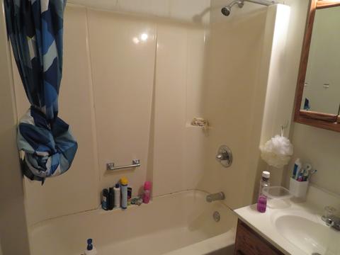 720 E Illinois Ave, Morris, IL 60450 photo 18