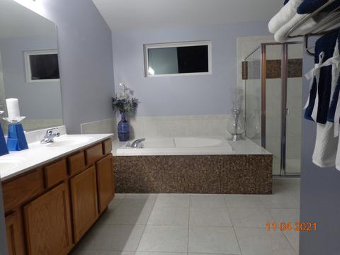 6509 Bridle Path Dr, Matteson, IL 60443 photo 10